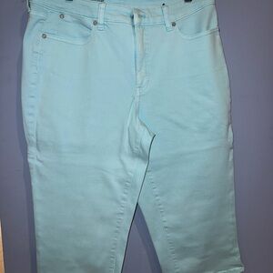 Talbots Blue Cropped Skinny Jeans